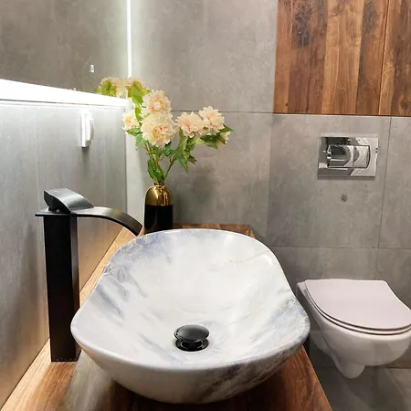 Apartment Gold - Podziemny Garaz Blisko Stadionu I Lotniska - Wygoda, Styl I Komfort Poznan